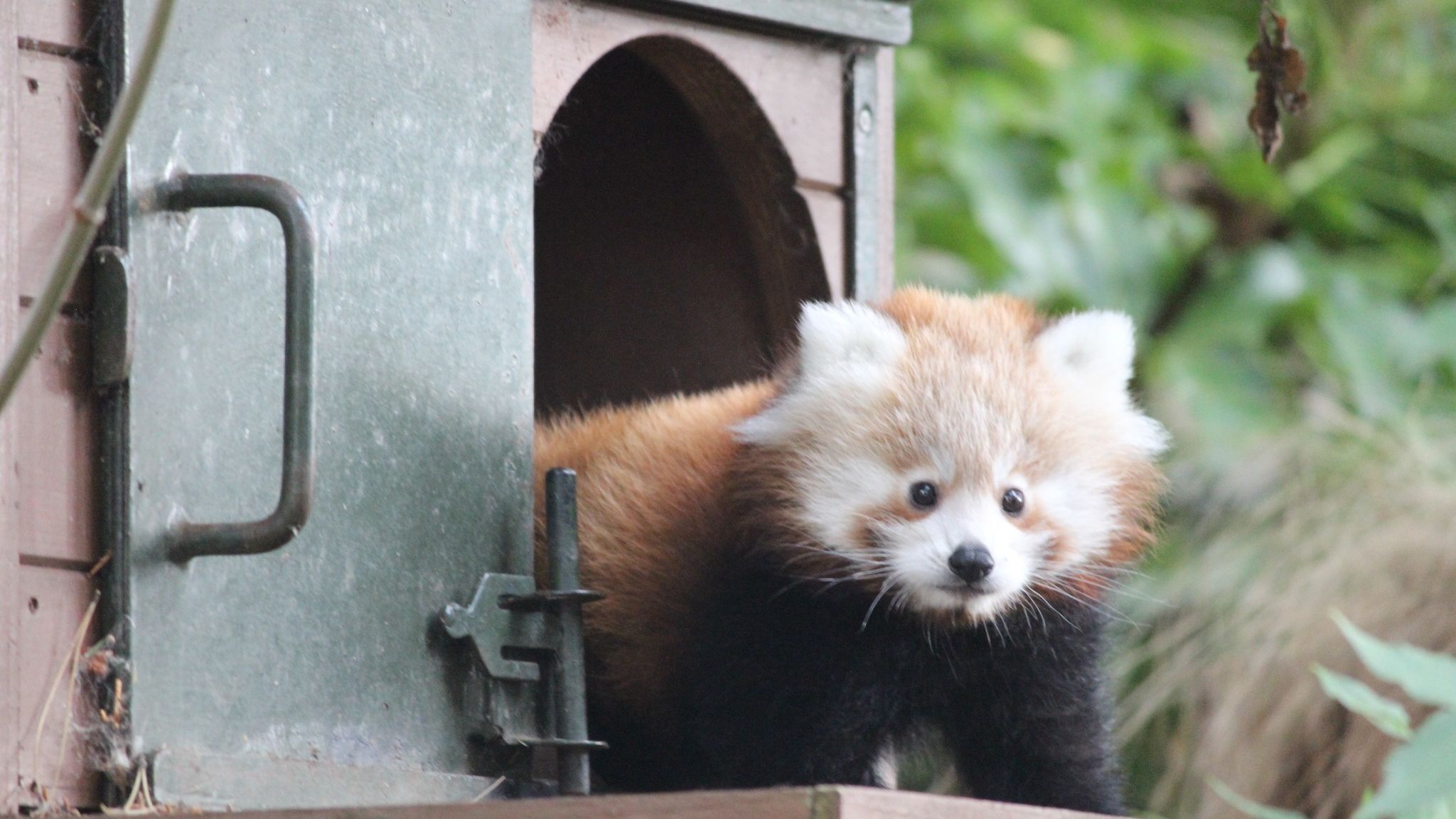 Edinburgh locals urged against Hogmanay fireworks after death of baby